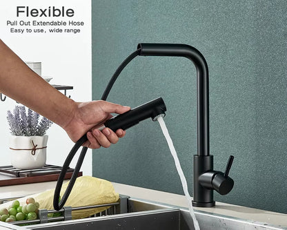 Robinet de Cuisine avec Douchette Flexible, 2 Modes, Mitigeur Eau Chaude & Froide en Acier Inoxydable